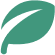 Leaf Icon
